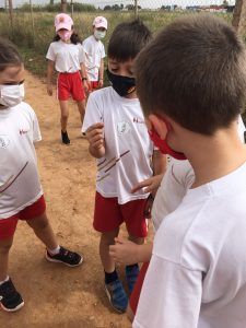 Día Medio Ambiente