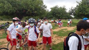 Día Medio Ambiente