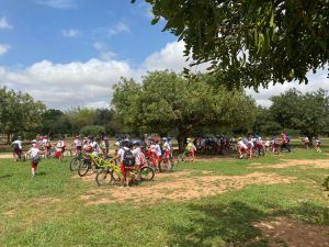 Día Medio Ambiente