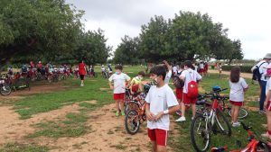 Día Medio Ambiente