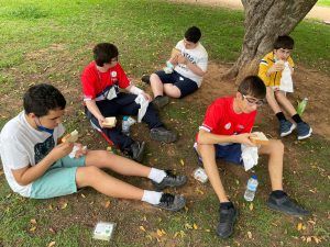 Día Medio Ambiente