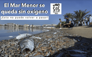 Mar Menor