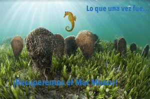 Mar Menor