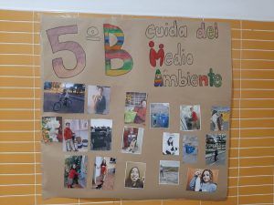 Educación Ambiental