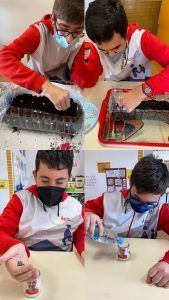 Educación Ambiental