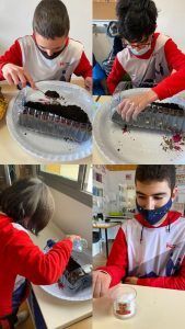 Educación Ambiental