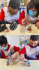 Educación Ambiental