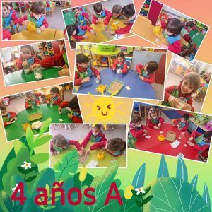 Educación Ambiental