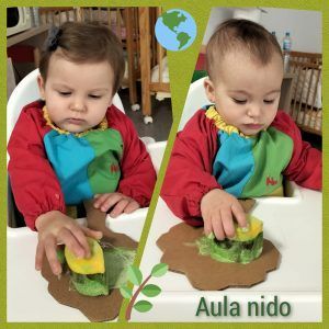 Educación Ambiental