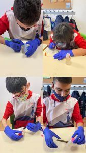 Semana Ciencia