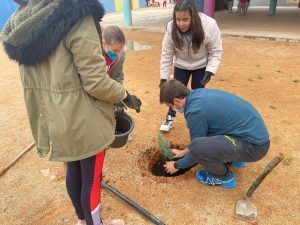 Día del Árbol