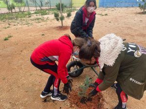 Día del Árbol Día del Árbol