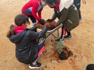 Día del Árbol