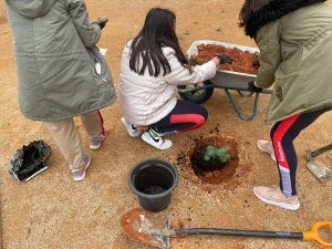 Día del Árbol Día del Árbol
