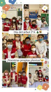 Día del Árbol Día del Árbol
