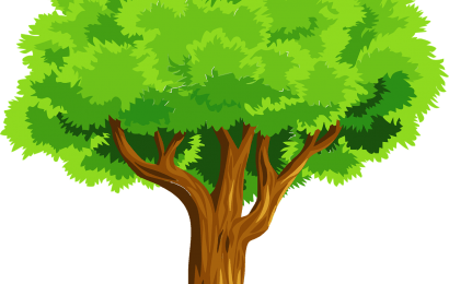 Día Árbol